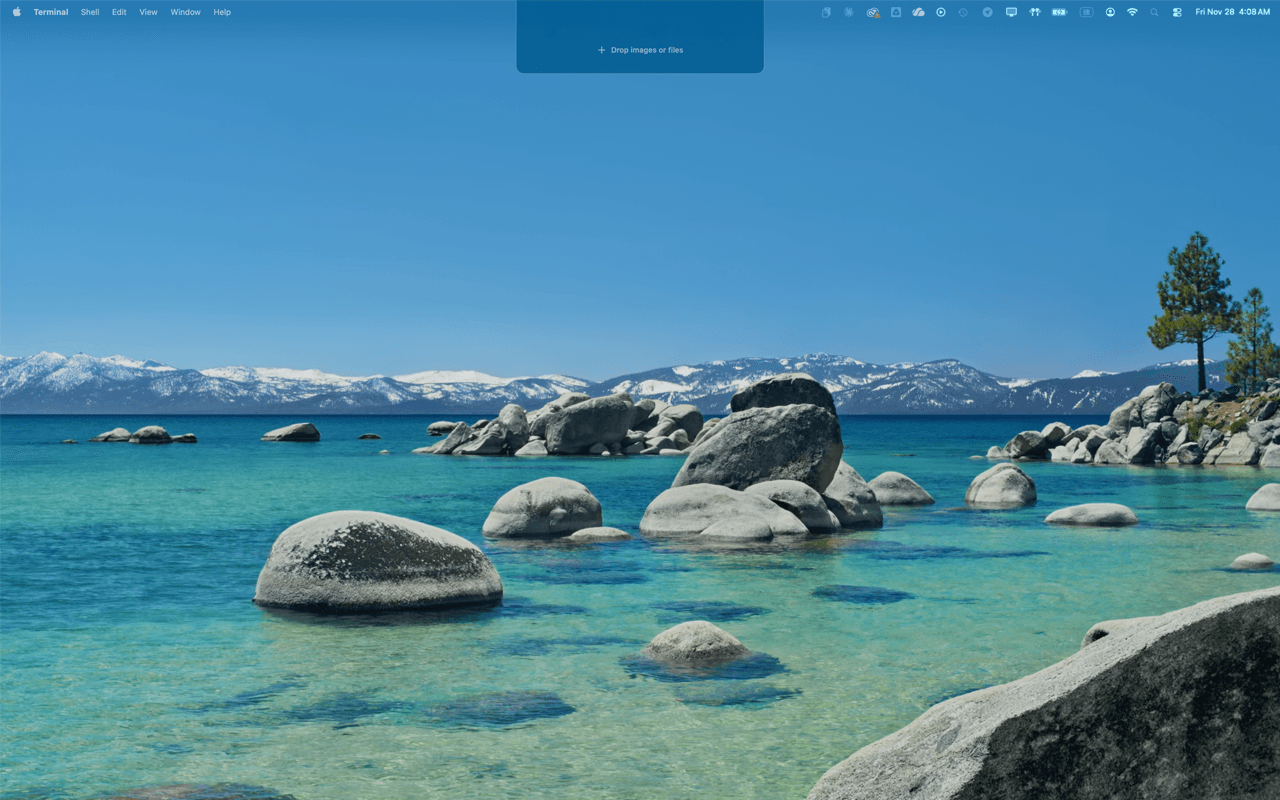 OnePaste staging area